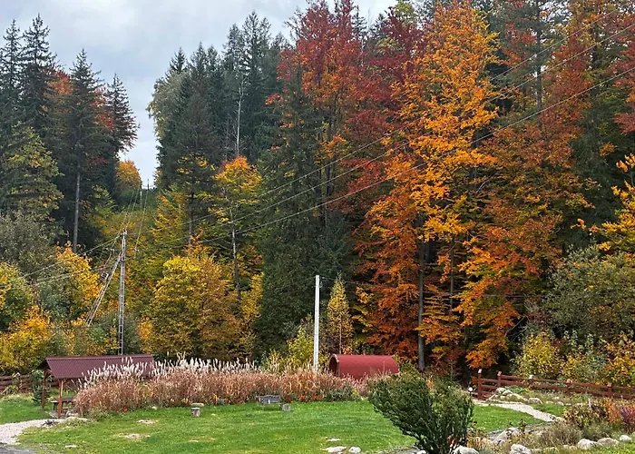 펜션 Dziedziniec Karkonoszy